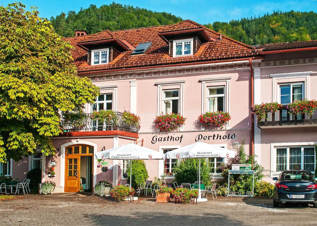Gasthof Zum Niederhaus - Familie Perthold Sankt Aegyd am Neuwalde Esterno foto