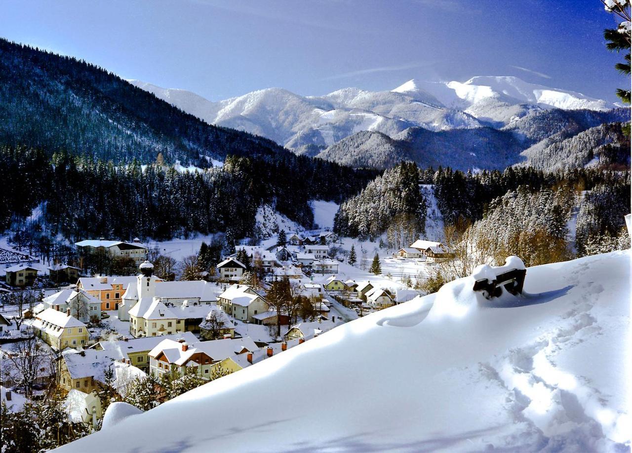 Gasthof Zum Niederhaus - Familie Perthold Sankt Aegyd am Neuwalde Esterno foto